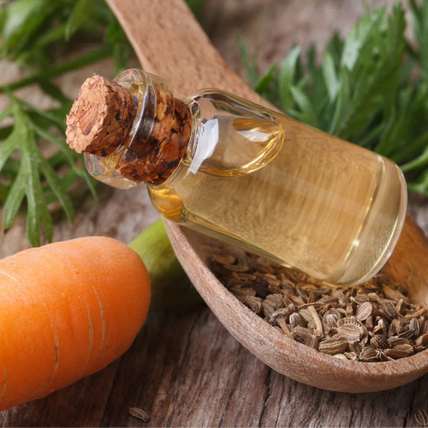 Glass bottle of carrot seed oil resting on a wooden spoon filled with seeds, next to a fresh carrot – Wildkinn non-toxic skincare.