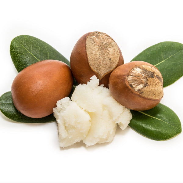 Raw shea butter with whole shea nuts and green leaves on a white background – Wildkinn non-toxic skincare.